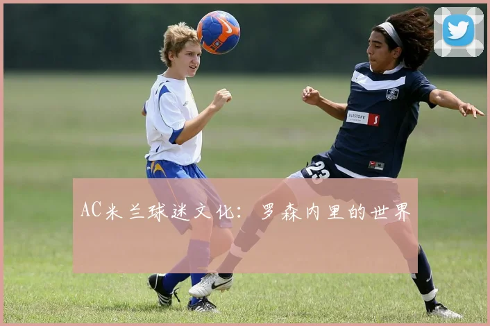 AC米兰球迷文化:罗森内里的世界
